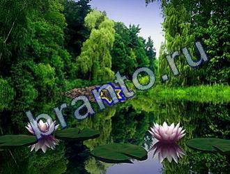 ответы на игру Найди животных Уровень 1773