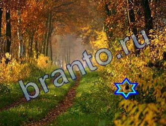 ответы на игру Найди животных Уровень 1774