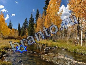 ответы на игру Найди животных Уровень 1775