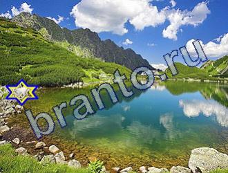 ответы на игру Найди животных Уровень 1776