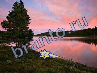 ответы на игру Найди животных Уровень 1777