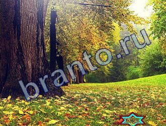 подсказки к игре Найди животных Уровень 1778