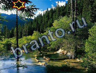 ответы на игру Найди животных Уровень 1779