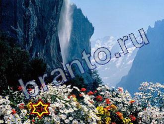 ответы на игру Найди животных Уровень 1780