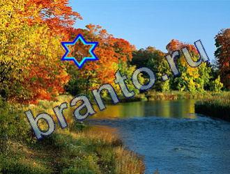 Найди животных ответы на игру Уровень 1781