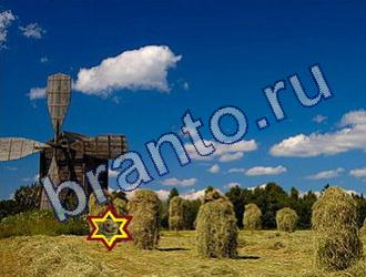 ответы на игру Найди животных Уровень 1782