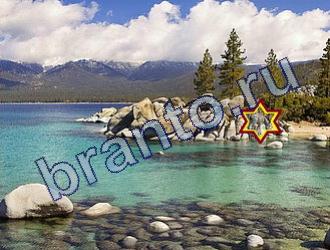 ответы к игре Найди животных Уровень 1783