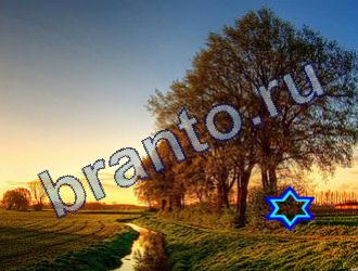 ответы на игру Найди животных Уровень 1784