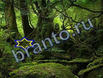 ответы на игру Найди животных Уровень 1785