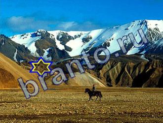 ответы на игру Найди животных Уровень 1786