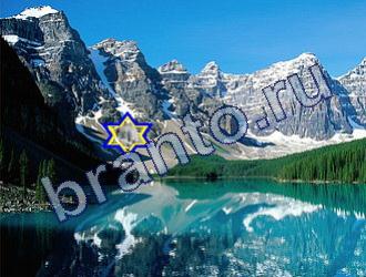 Найди животных Уровень 1787