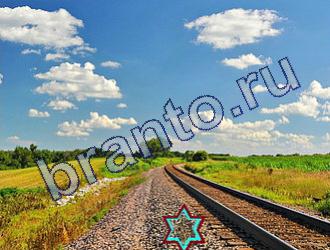 ответы на игру Найди животных Уровень 1788