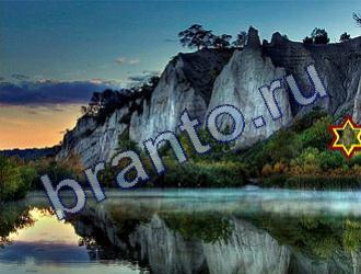 Найди животных Ответы Уровень 1789