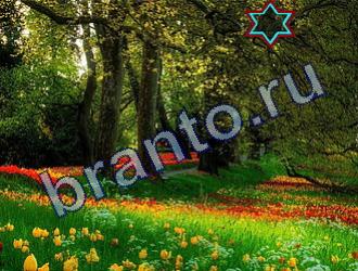 ответы на игру Найди животных Уровень 1790