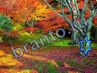 Найди животных подсказки Уровень 1791