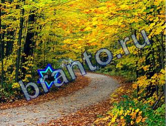 ответы на игру Найди животных Уровень 1792