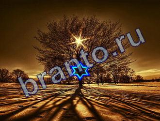 Игра Найди животных ответы Уровень 1793