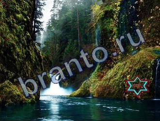 подсказки Найди животных Уровень 1794