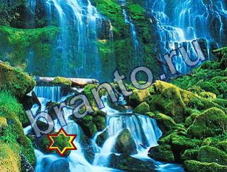 ответы на игру Найди животное Уровень 1795