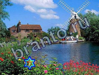 подсказки на игру Найди животных Уровень 1797