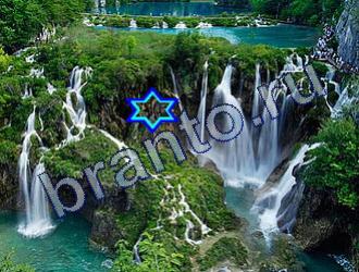 ответы на игру Найди животных одноклассники Уровень 1798