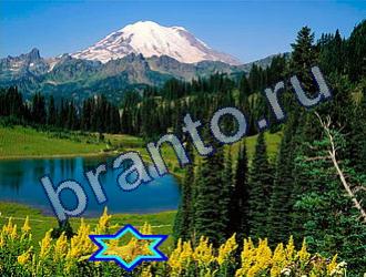 помощь на игру Найди животных Уровень 1799