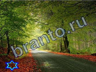 ответы на игру Найди животных в контакте Уровень 1800