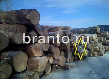 ответы на игру Ловец призраков Уровень 256