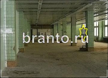 Найди призрака игра ответы Уровень 275