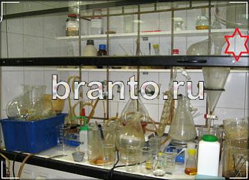 ответы на игру Найди призрака Уровень 276