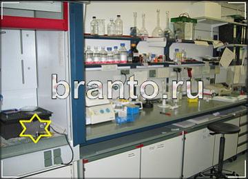 ответы на игру Найди призрака Уровень 288