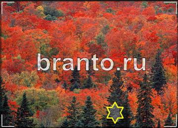 ответы на игру Ловец призраков Уровень 294