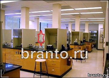 Найди призрака решения Уровень 297