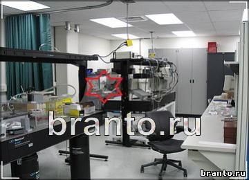 ответы на игру Найди призрака Уровень 298