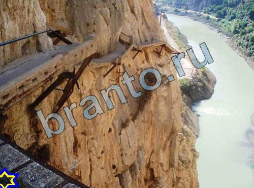 ответы на игру Найди собаку ВК Уровень 319