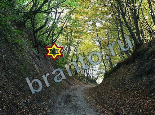 игра Найди собаку подсказки в контакте Уровень 320