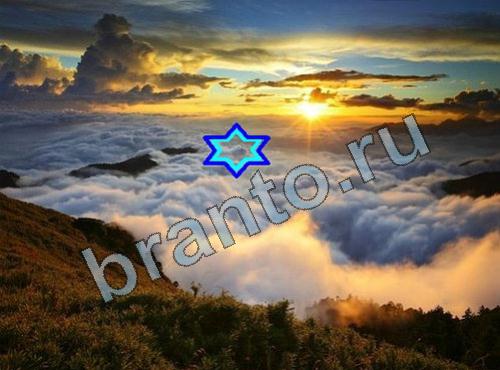 Найди собаку игра ответы Уровень 322