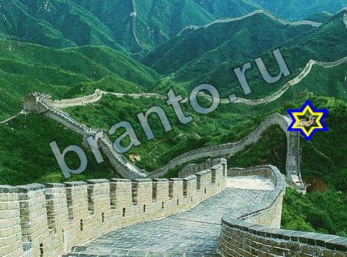 Найди собаку сборник ответов ВК Уровень 329