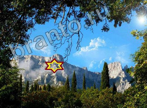 ответы на игру Найди собаку Уровень 330