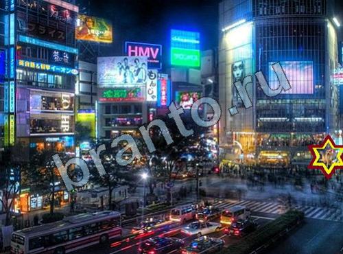 Найди собаку ответы в картинках Уровень 333