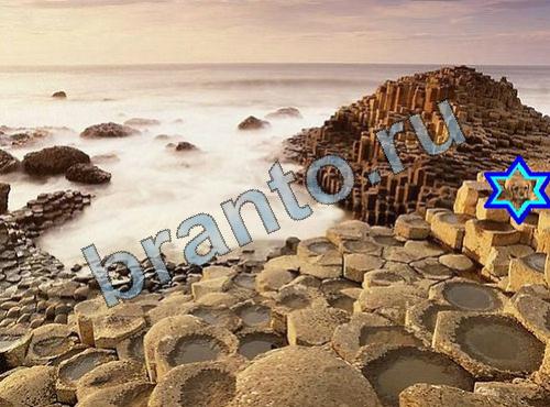 ответы на игру Найди собаку Уровень 334