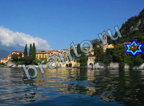 ответы на игру Найди собаку Уровень 335