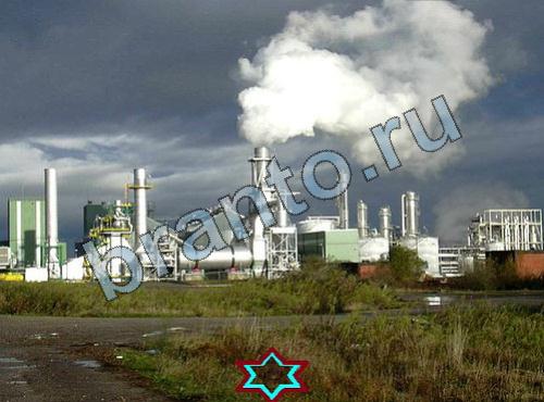 Найди собаку сборник ответов Уровень 339