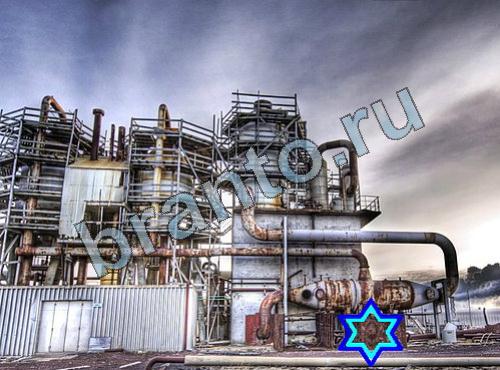 ответы на игру Найди собаку ВК Уровень 340