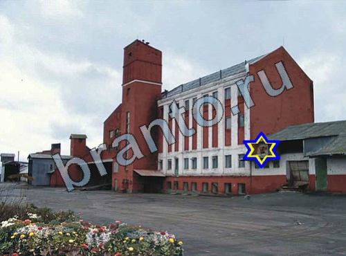 игра Найди собаку подсказки в контакте Уровень 341