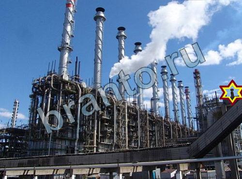 ответы на игру Найди собаку Уровень 344