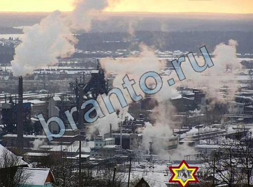 ответы на игру Найди собаку вконтакте Уровень 348