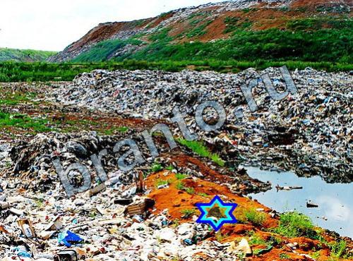 ответы на игру Найди собаку Уровень 351