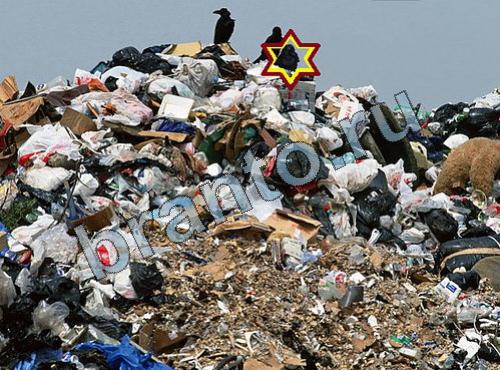 ответы на игру Найди собаку Уровень 352