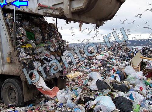 Игра Найди собаку подсказки Уровень 353